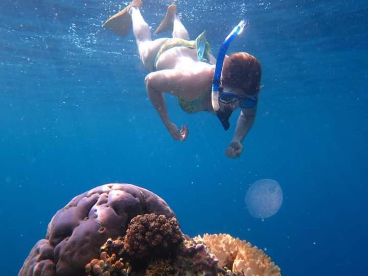 Umah Kayu 2-Menjangan Homestay Banyuwedang Eksteriør billede